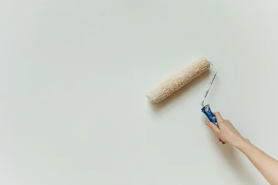 Painting a wall with a roller – correct technique and process